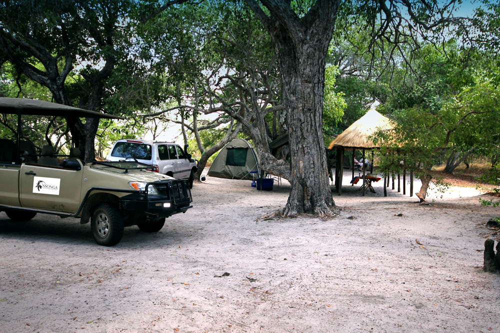 Camp