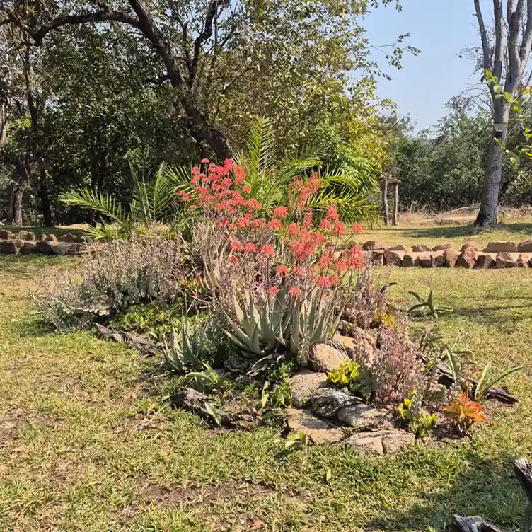 Nsonga Game Management & Lodges