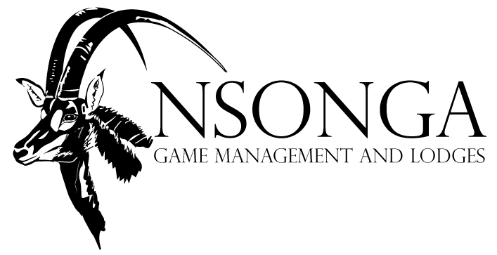Nsonga Game Management & Lodges